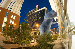 blue bear-hyatt
